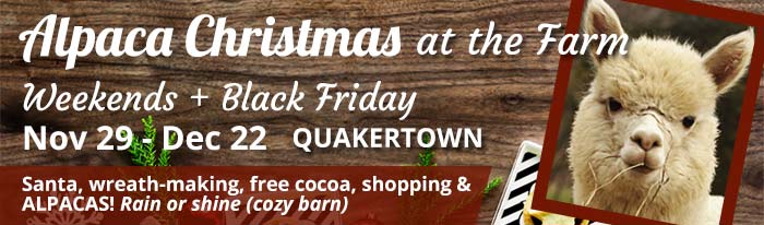 Looking for that old fashioned and magical family holiday experience? Bring the family to our 1880's beautiful Bucks County farm, open Black Friday, SMALL BUSINESS SATURDAY, and every Saturday and Sunday until Christmas from 11-4-pm. Visit with our 25 alpacas, including a new baby. Enjoy a complimentary cup of hot cocoa. Be sure to visit SANTA in the Alpaca barn from 1 to 3 each day! Then go into the BLUE winter wonderland barn and warm your hands by the fireplace. We are unable to sell live trees this year but you can decorate a live wreath with your family with a handmade bow, holly, cones and sprigs all gathered here at the farm. Looking for a special gift? We have a large selection of unique alpaca products and yarns - everything from blankets, sweaters, rugs, mittens, gloves, hats, scarves, socks, teddy bears and much more. CREDIT accepted. We are open rain/snow or shine since we have TWO great DRY barns. Come share the ALPACA Christmas magic!