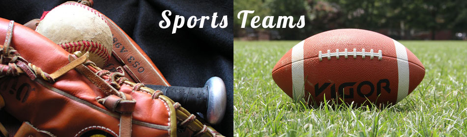 Sports teams, football, baseball, hockey, minor league teams in the Frenchtown, Hunterdon County NJ area